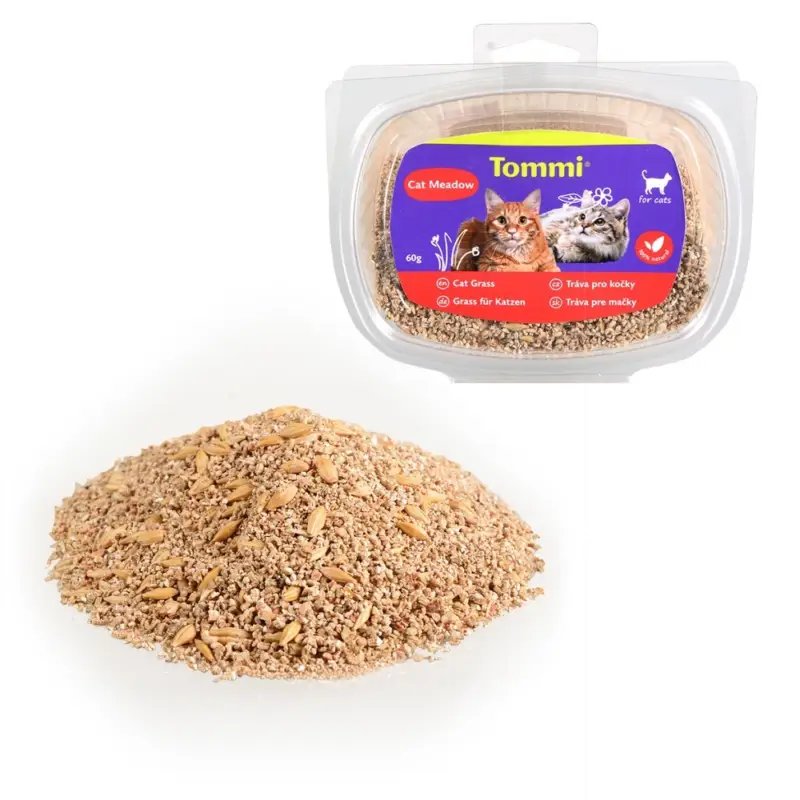 Tommi - tráva pro kočky, 60g Oblíbený