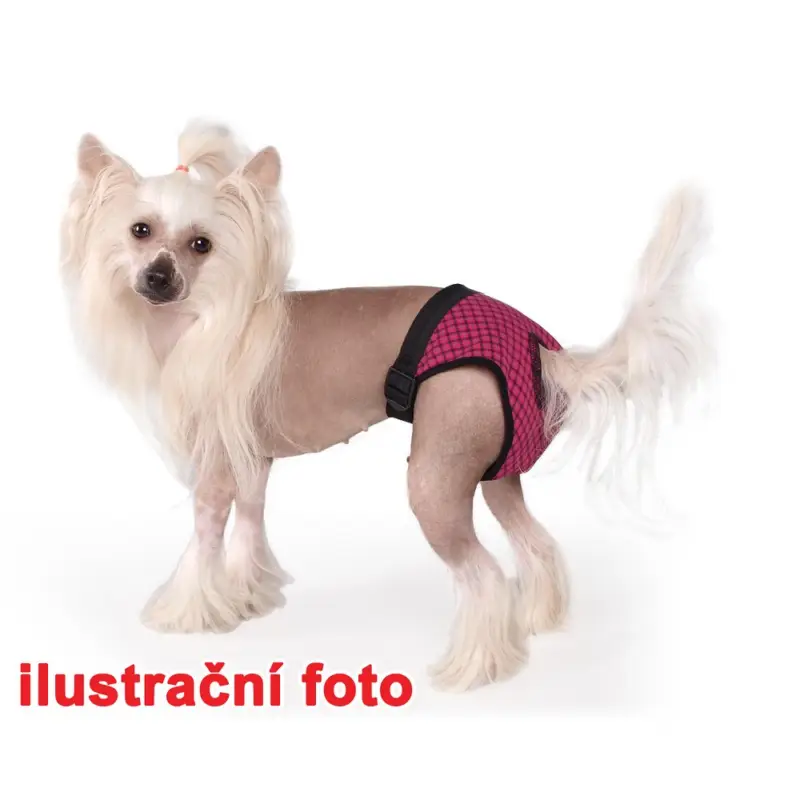 Dokud Zásoby Vydrží Hárací kalhotky Fun Colours L