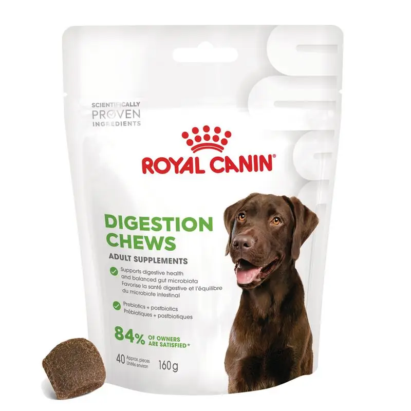 Objednat Nyní Royal Canin Digestion Adult Supplement žvýkací pamlsky
