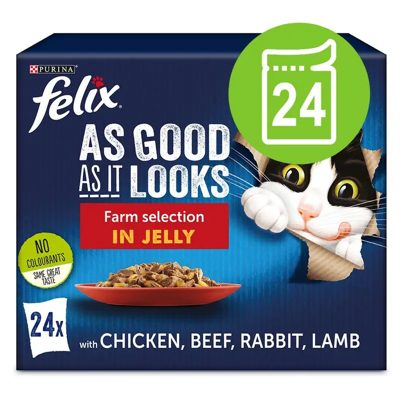 Felix Fantastic kapsičky 24 x 85 g Nejprodávanější