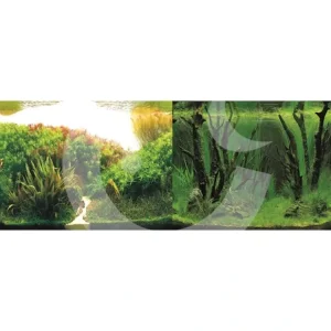 MACENAUER Fototapeta 3S, 60 x 30 cm Autentický
