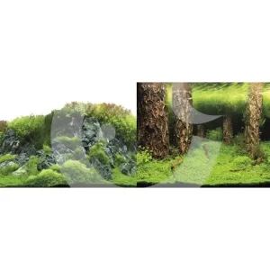 MACENAUER Fototapeta 4L, 100 x 50 cm Nakupujte Hned