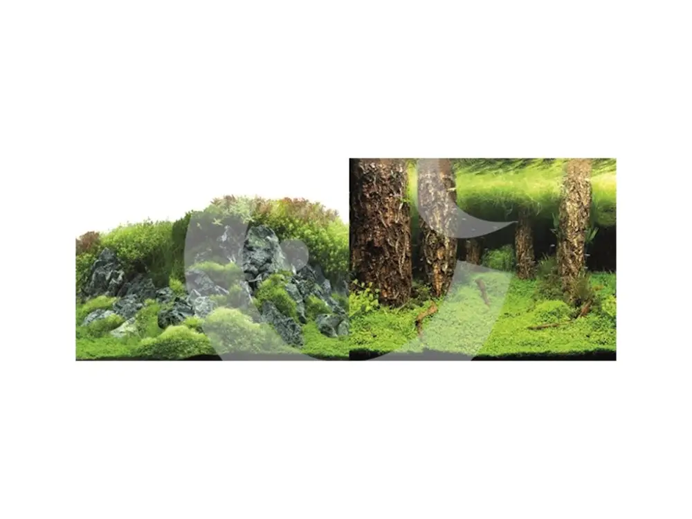 Bezpečná Platba MACENAUER Fototapeta 4XL, 150 x 60 cm