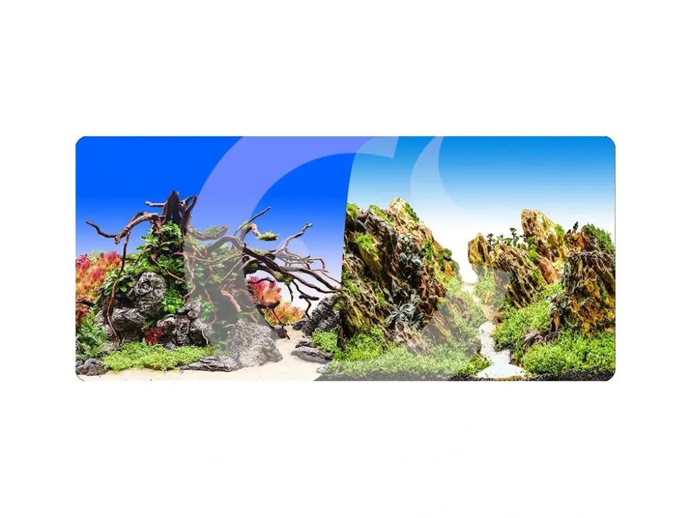 Časově Omezené Macenauer Fototapeta 12XL 150 x 60 cm