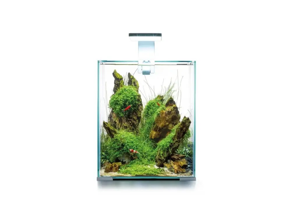 Aquael Shrimp set D&N 30 bílý Hit Sezóny