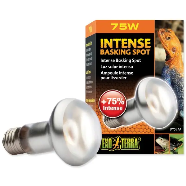 Kup Teď Hagen ExoTerra Day Glo Tight Beam 75W