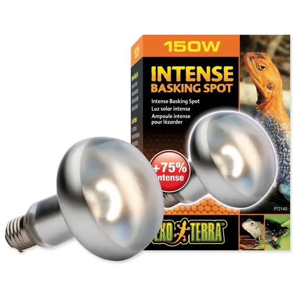 Kup Teď Hagen Day Glo Tight Beam 150W