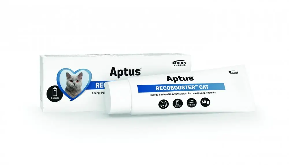 Aptus Recobooster Cat 60g Rychlé Dodání