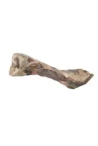 Kerbl kost od italské šunky 24 cm Kup Teď