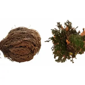 Lucky Reptile "Rose of Jericho" 50 g Nová Kolekce
