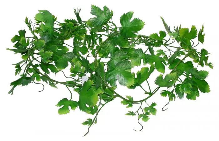 Časově Omezené Lucky Reptile Jungle Vine Gape Leaf Vine 200 cm