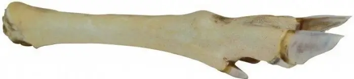 Nízká Cena Trixie noha ze srny