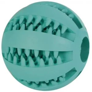 DENTAfun míč s mátou 6 cm TRIXIE KS Top Prodej