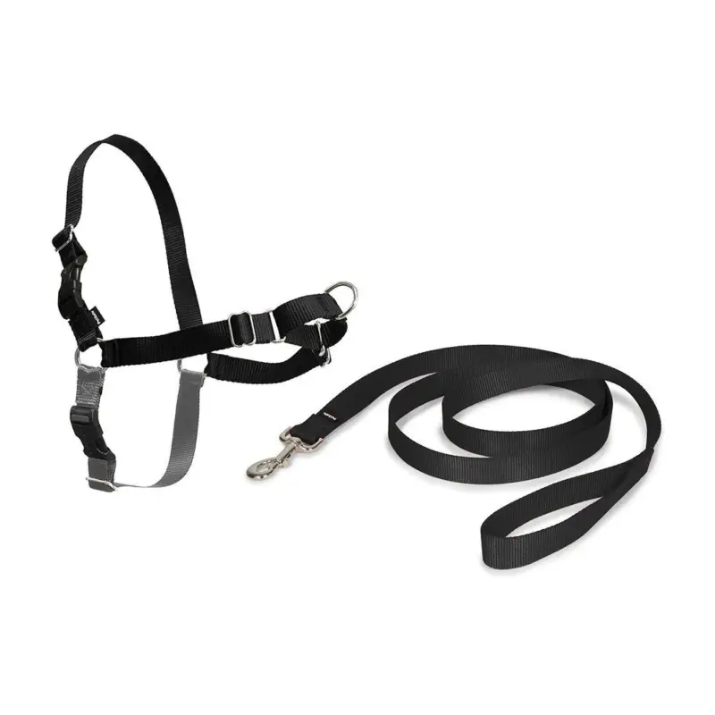PetSafe® Postroj EasyWalk černý XL Bezpečná Platba