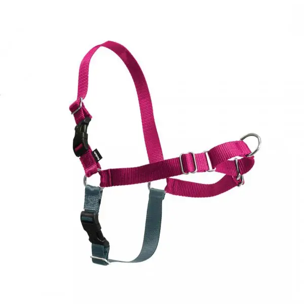 Objednat Nyní PetSafe® Postroj EasyWalk malinový L