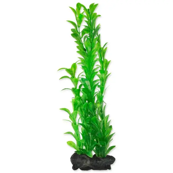 Rostlina TETRA Hygrophila L Kup Teď