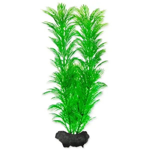 Pouze Dnes Rostlina TETRA Green Cabomba M