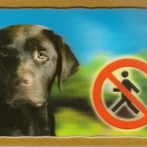 Cedulka 3D PSI, Labradorský retrivr (hnědý) Odeslání Ihned