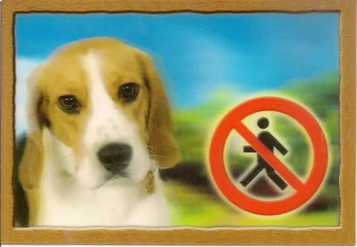 Cedulka 3D PSI, Beagle Ihned K Objednání