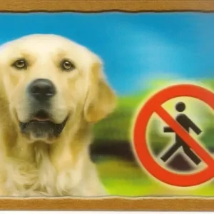 Objednat Nyní Cedulka 3D PSI, Zlatý retrivr