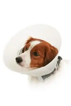 Límec ochranný BUSTER neprůhledný Classic Collar 10cm Bezpečná Platba