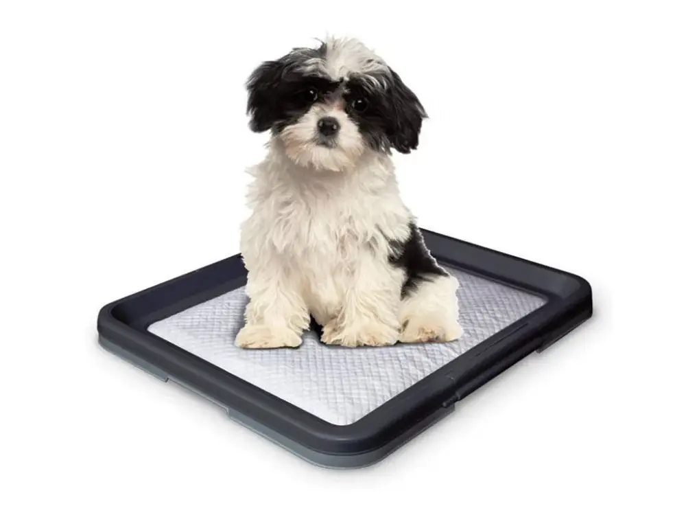 Nobby Doggy Trainer S plastové WC na podložky pro štěňata 48 x 41 x 3,5 cm Poslední Šance