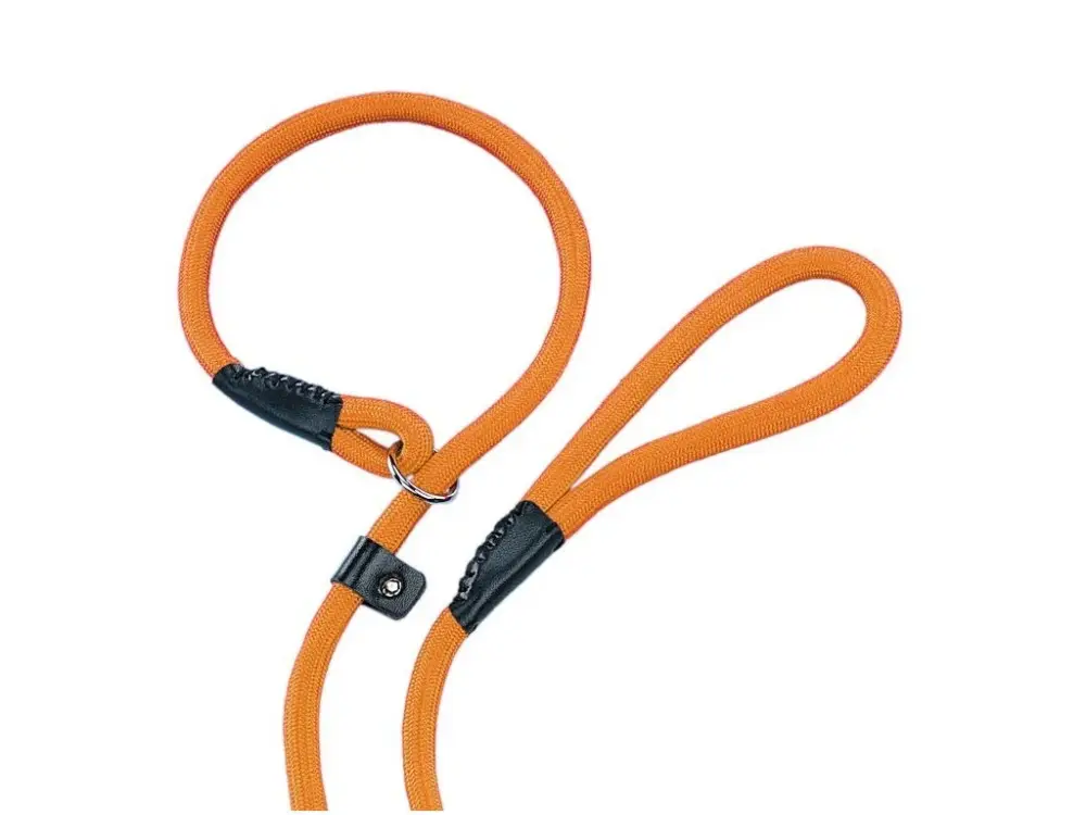 Horká Nabídka Nobby FUN vodítko s obojkem 170cm / 9mm oranžová