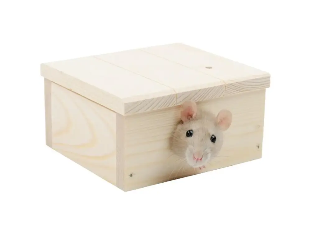 Pouze Dnes Domek dřevo křeček rovná střecha 13 x 12 x 6 cm