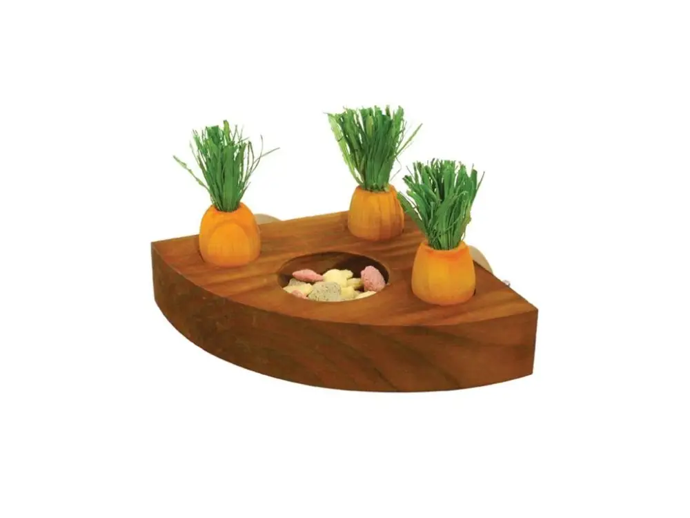 Výprodej Hračka hlod. dřevo interaktivní - mrkve Rosewood 1 ks