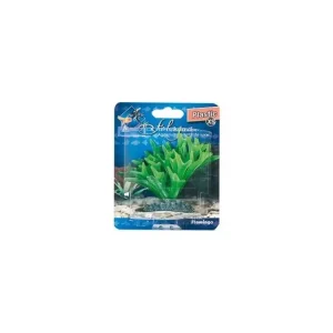 Rostlina plast Fiji Flamingo 9 cm Nejprodávanější