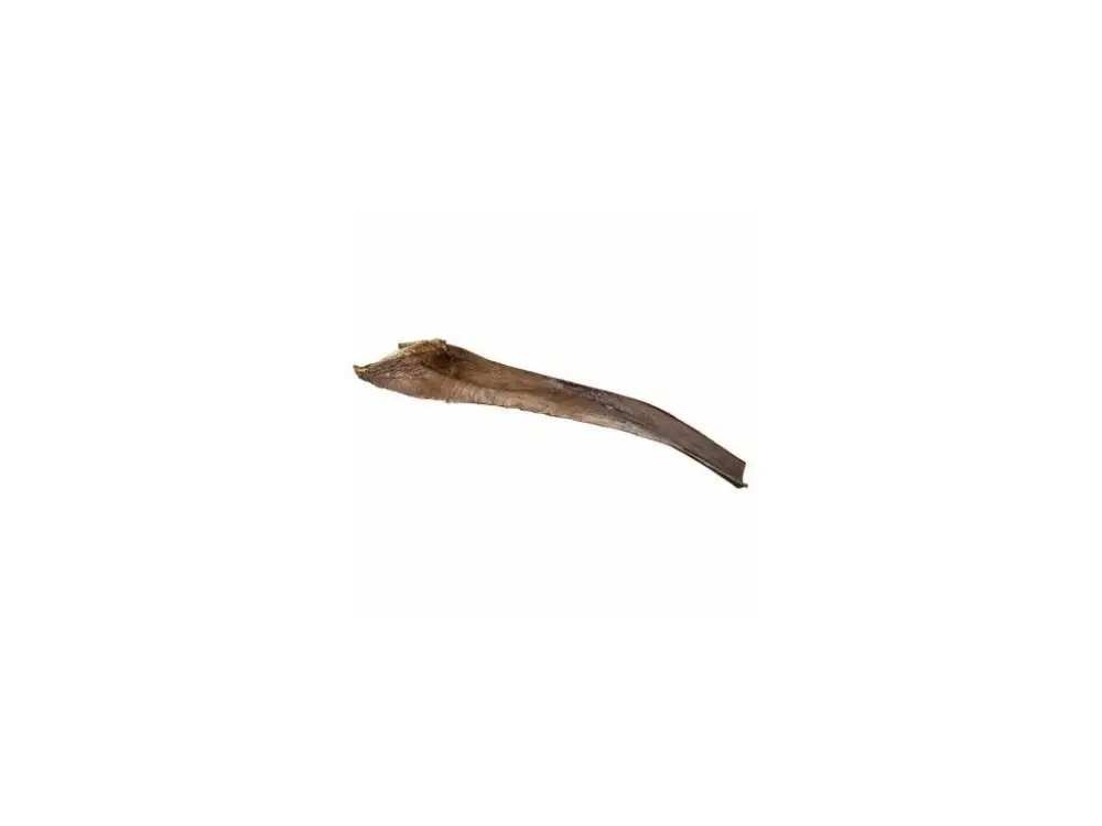 Finální Výprodej Papah wood - palmový list 50-65 cm pro plazy na lezení (6ks)