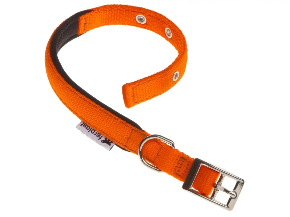 Obojek nylon DAYTONA C 35cmx15mm oranžový FP 1ks Levný