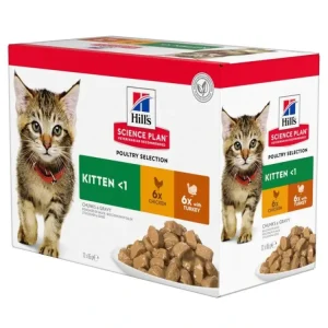 Cenová Bomba Hill's Fel. SP Kitten Chicken&Turkey kapsa 12x85g