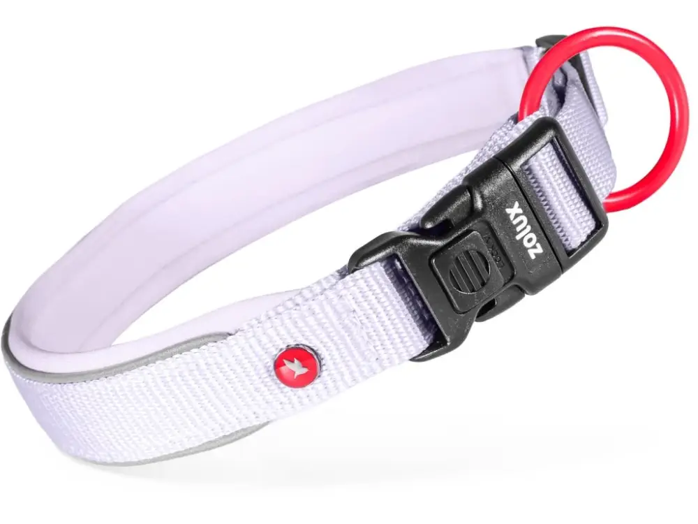 Rychlé Dodání Obojek pes PREMIUM nylon 20mm/40-45cm lila Zolux