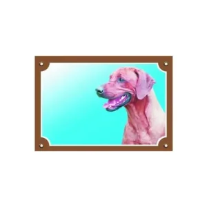 Cenový Hit Barevná cedulka Pozor pes Rhodéský ridgeback