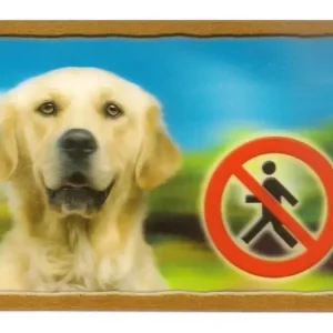 Odeslání Ihned Cedulka 3D Pozor pes Zlatý retrivr