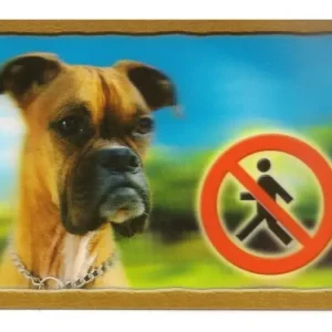 Cedulka 3D Pozor pes Boxer Speciální Cena