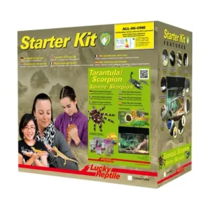 Lucky Reptile Starter Kit Tarantula + Scorpion 50x28x40 cm bílé Poslední Šance
