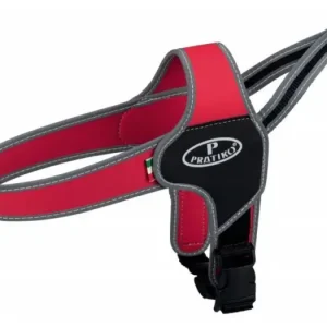 PRATIKO norwegian postroj Apollo XXS-XS 28-33 cm- červený Značkový