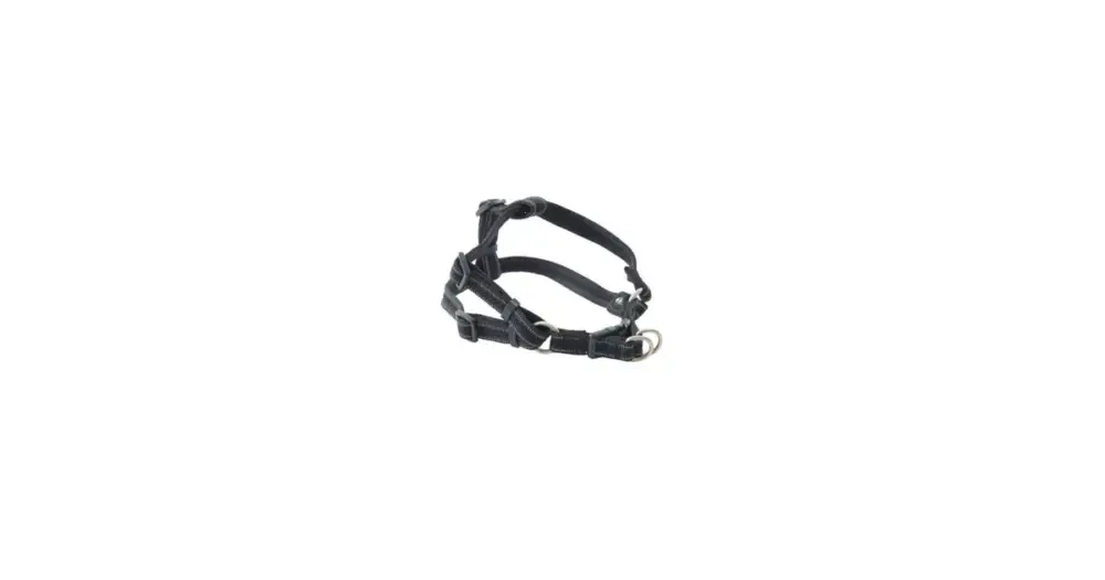 Postroj BUSTER Airmesh reflexní M, 25mm černý Nejprodávanější