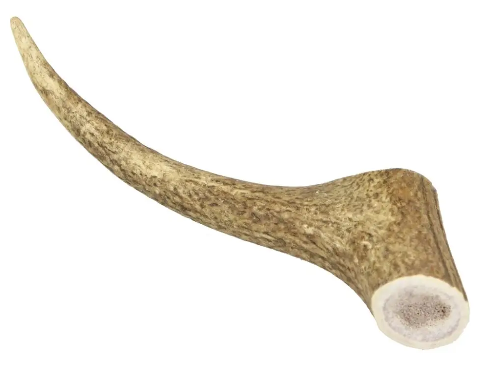 Tovární Cena Marp Holistic jelení paroh celý XL (160-200 g)