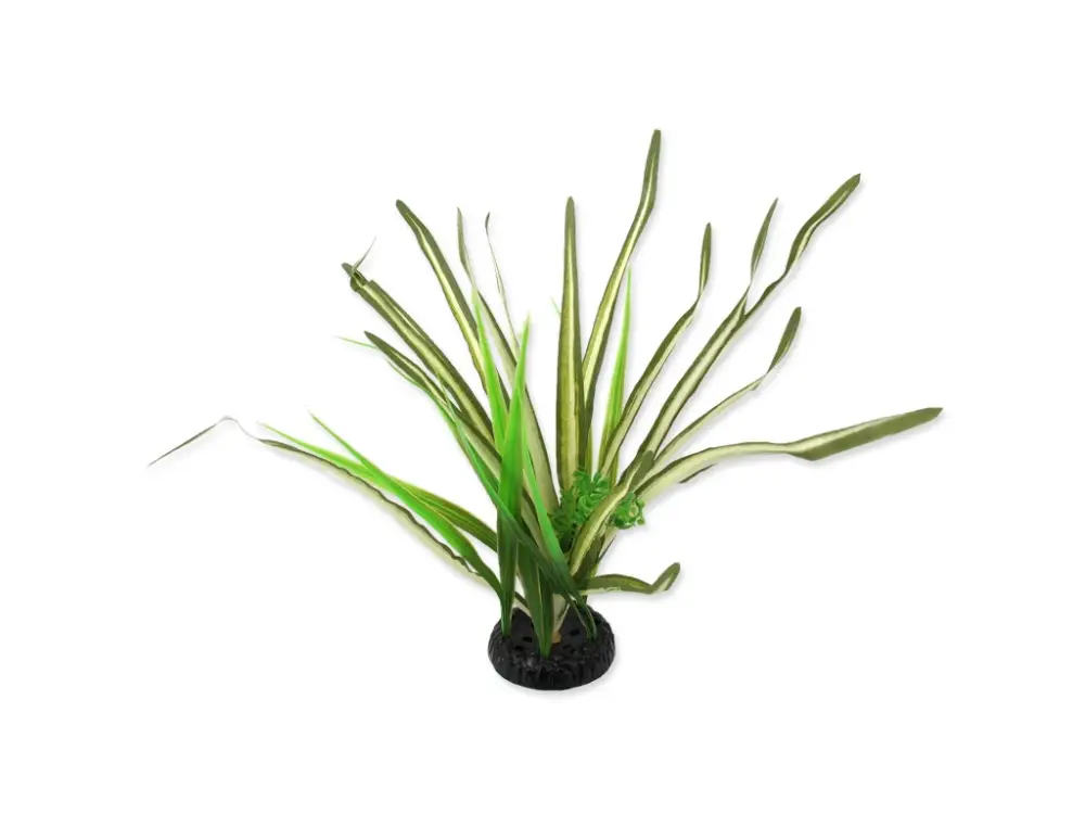 Oblíbený Repti Planet Rostlina travina Spartina 30 cm 1 ks