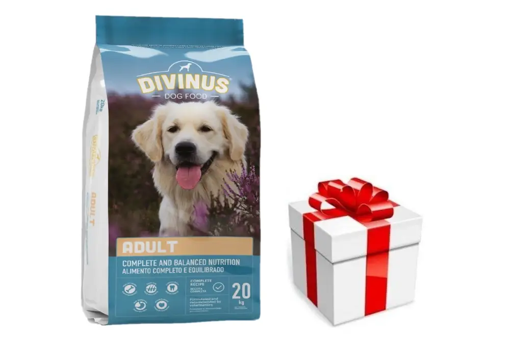 Divinus Adult pro dospělé psy 20 kg + překvapení pro vašeho psa ZDARMA Přímo Od Výrobce