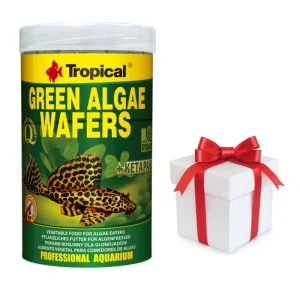 TROPICAL Green Algae Wafers 1000ml + vzorek krmiva pro ryby ZDARMA Vysoce Kvalitní