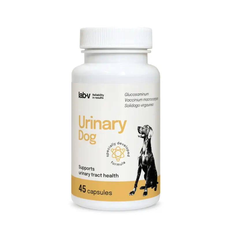 Nejlepší Cena LAB-V Urinary Dog – Podpora při infekcích močových cest u psů 45 kapslí