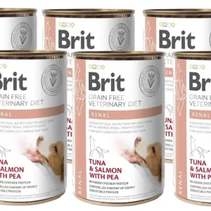 Hit Sezóny BRIT GF veterinary diets dog Renal 6x400g