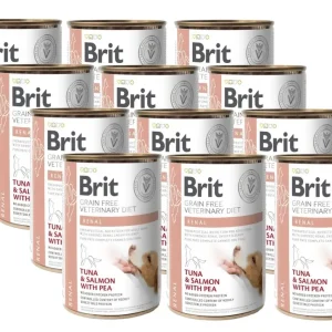 Finální Výprodej BRIT GF veterinary diets dog Renal 12x400g