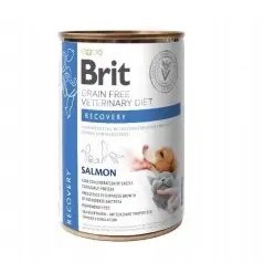 BRIT GF Veterinary Diets Recovery Salmon 400 g – mokré krmivo pro psy a kočky Cenová Bomba