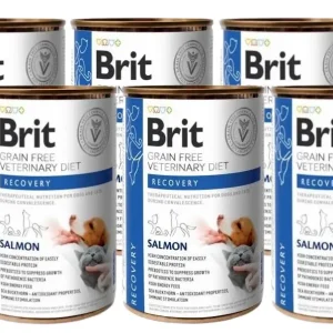 Must-Have BRIT GF Veterinary Diets Recovery Salmon 6x400g – mokré krmivo pro psy a kočky