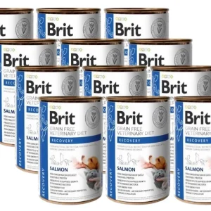 Cenový Hit BRIT GF Veterinary Diets Recovery Salmon 12x400g – mokré krmivo pro psy a kočky
